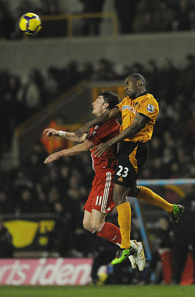 鹈鹕整体表 鹈鹕整体表